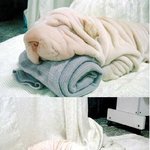 움직이는 <b>수건</b>
