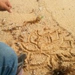 ★(사진有)50일 해외여행과 함께 사랑을 얻다 7탄★