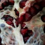 ◆환◆공◆포◆증◆있는사람 이거 못먹어요?