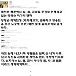 ★ 웹툰 '덴마' 와 천재지변 의 관계? ★