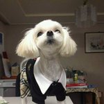 ★개판★(사진有)쇼핑몰 콘테스트 1위에 빛나는 영웅이를 소개합니당...