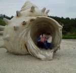 ★★<19금>소라아오이노모풀버<b>전무</b>삭제 짤리기전에빨리★★