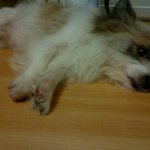 ★우리집 노인네 ㅡㅡ ㅋ★