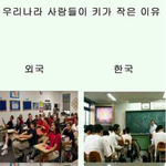 한국인들이키가작은이유