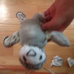 ★★☆(베플인증)혼숨후기☆★★