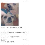 내<b>실사</b>가이리도파장이크다니:;공룡이의댓글놀이!!