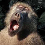 사진有)★★★윤두준의실체★★★