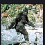 ★형들 진심궁금함 진짜..