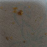 ★★★ 방금<b>귓밥</b>판거 사진인증 또 제가이상한건가여? ★★★