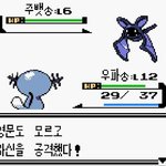 영어공부를 해야하는이유