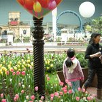 아이들과 겨울에가볼만한곳인 롯데월드에서 놀다 왓음..ㅋㅋㅋ