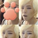 빂분들..<b>gd</b> 이 사진에서...