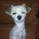 ★★저희집 복덩이들을 소개할께옄★★