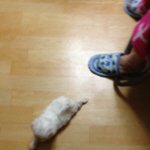 ★★★<b>개판</b>은 원래 한번씩 보고가는 거지요★★★