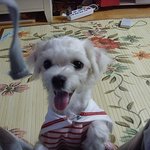 ★★★그남자이름은김미남★★★