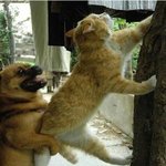 ★★<b>훈녀</b> 되는 화장법★★