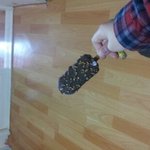 ★☆★사진有) 아이스크림 엔*의 진실★☆★