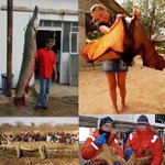 세계의거대한<b>생물</b>들