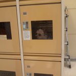 사진有 마트 <b>물품</b>보관소에 갇혀있는 강아지를 보았습니다.