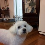 ★☆★☆일상이 화보인 우리집 다섯째와 여섯째☆★☆★