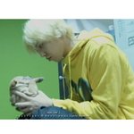 아닌데 권지용은