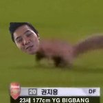 권지용동물<b>육상</b>선수권대회출현모습