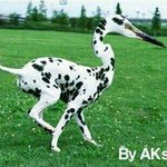 <수정ㅜ><<<<님들 님들 그거암?????????????????...