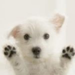 (<b>젭</b>알*ㅇ_ㅇ*)이거 톡되게 도와주시면 여러분들 솔로탈출 할 수...