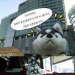 위풍당당 <b>돌풍</b>이의 하울링 시사 체험기!!