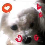 <b>실사</b>임 ㅎㅎㅎㅎㅎㅎ