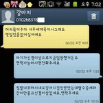 ●강아지분양사기 조심하세요●