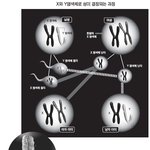 94년생 이후 여성들‥ 남자 만나기 <b>힘들</b> 것