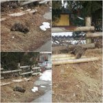★☆★☆(사진有)개념상실인들 혼내주세요☆★☆★