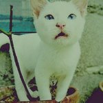 <b>진지</b>해요ㅡㅡ