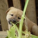 ★☆★☆이성에게 <b>주목</b>받는 2012년 봄 코디★☆★☆