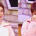 얃옹보다가걸렸을때의 빅뱅멤버별<b>반응jpg</b>.