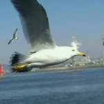 인천왕산해수욕장옆방쓰셧던오빠들을찾아여ㅠㅠㅠ.ㅠㅠ.ㅠㅠ.ㅠ...☆...