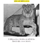 <b>교감</b>을 이룬 그들만의 감동적인 이야기.