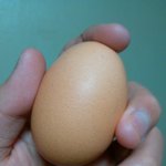 <b>fake</b> 란.... 무었인가 ~?