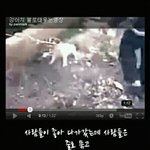 <b>피도</b> 눈물도 없는 사람들 진짜 개념상실함 ★★★★★★★★★★