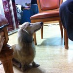 까르를 찾습니다 ㅠㅠㅠ (사진有)