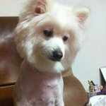 6분<b>후면</b>학원간다6분만자야지..