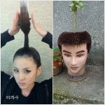 뭔가 <b>연상</b>이 되는 연예인들의 머리