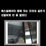 <b>에스컬레이터</b>에