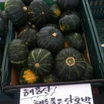 해품달이대세이긴하네요ㅋㅋ