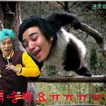 ●○○○○○○탑<b>엽사</b>○○○○○○●
