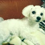 ★★★★★<b>똘</b><b>끼</b>친구 2탄이에요★★★★★