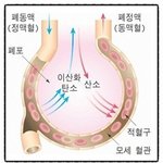 [단월드 건강<b>칼럼</b>] 가슴호흡에 대해서