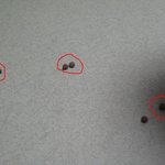 ☆★(사진有)코<b>코볼</b>을먹는데...ㅋ....나에게없는짝이 코<b>코볼</b>에게....