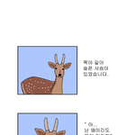 작은 <b>사슴</b> 이야기
